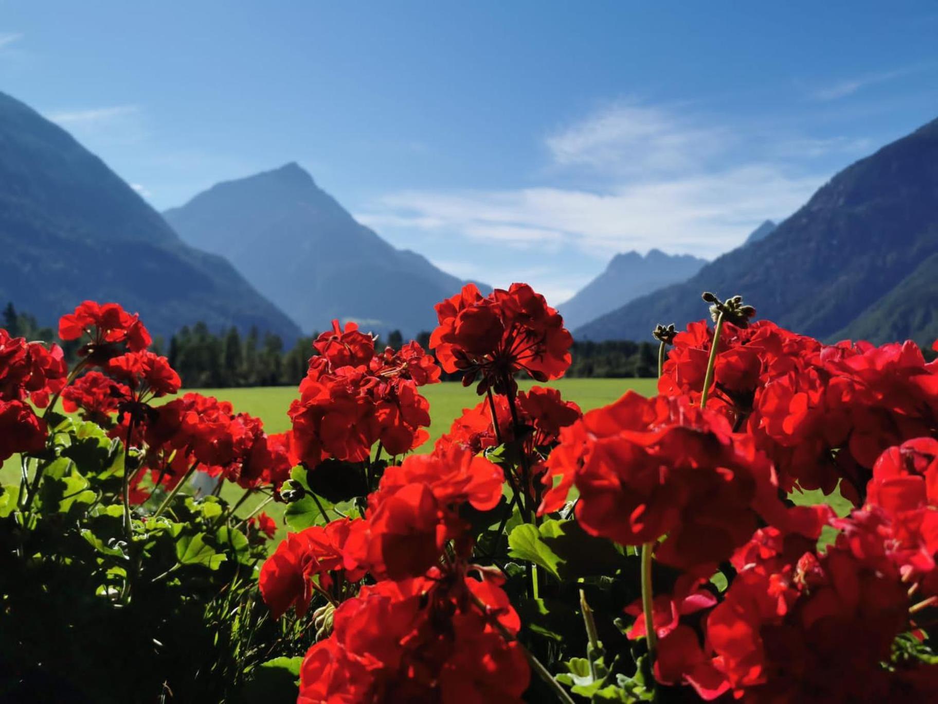 Landhaus Oetztalblick レンゲンフェルト エクステリア 写真